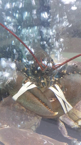 Comentarii opinii despre Restaurante Requinte no Parque