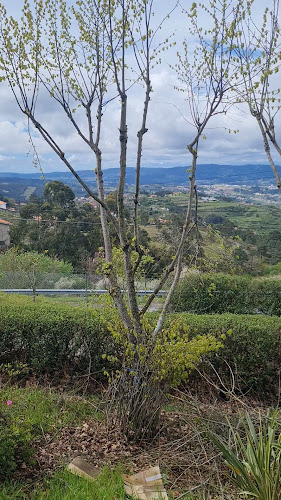 Restaurante mira marco