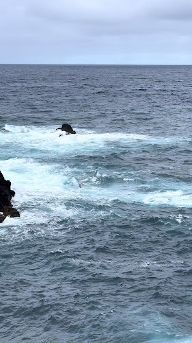 Sunset Steve's Bar (Piscinas Naturais) - Gastronomia e hotelaria