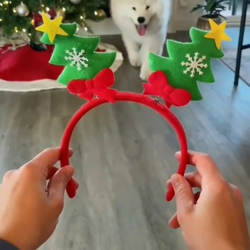 Opinii despre Ferribote în Setúbal - Gastronomia e hotelaria