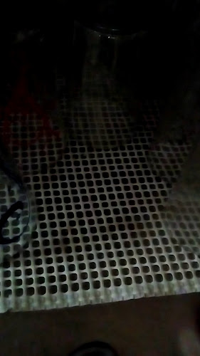 Tasquinha do Miradouro