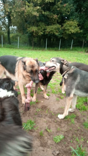 Café Lércio - Prato do dia e Snacks - Gastronomia e hotelaria