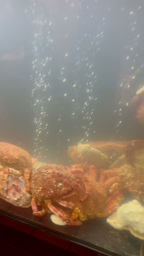 Dom Peixe - Gastronomia e hotelaria