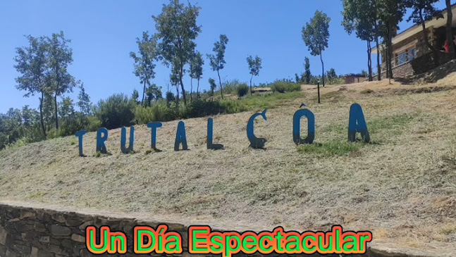 Reviews of Trutalcoa - Truticultura Do Alto Coa, Lda. in Espinho - Gastronomia e hotelaria