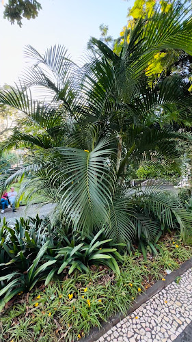 1811 Bistro *Restaurante* - Funchal