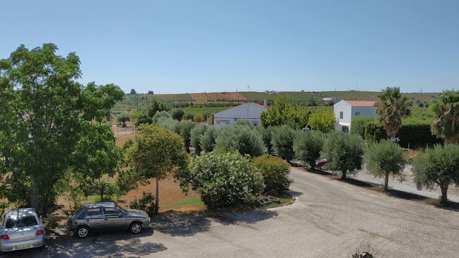 Opinii despre Moira în Reguengos de Monsaraz - Gastronomia e hotelaria