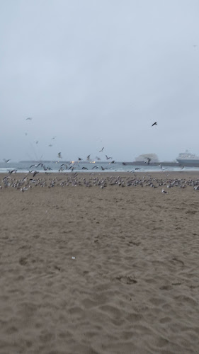 Lais de Guia - Gastronomia e hotelaria