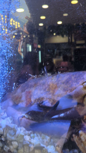 Opinii despre O Nosso Prego Restaurante & Cervejaria - Costa da Caparica în Costa da Caparica - Gastronomia e hotelaria