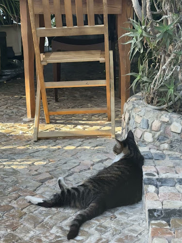 Cais Wine&Tapas Bar - Gastronomia e hotelaria