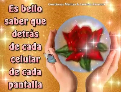 Av. Prof. Celso Gomes 8 R/c, 3610-013 Dálvares