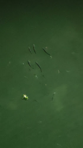 Praia Oudinot - Ílhavo