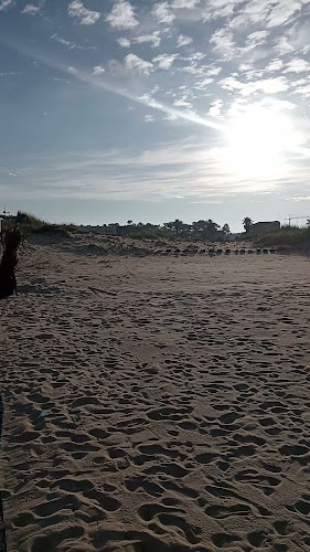 Comentarii opinii despre Palheiro Velho