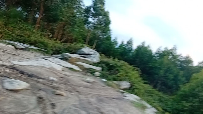 Opinii despre Café Novo în Esposende - Gastronomia e hotelaria