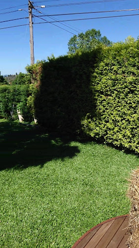 Adega Regional Do Castelo - Gastronomia e hotelaria