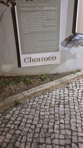 Adega Leo do Petisco - Setúbal