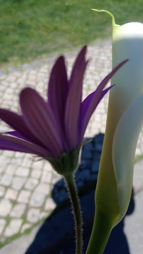 Opinii despre News Café în Lagos - Gastronomia e hotelaria