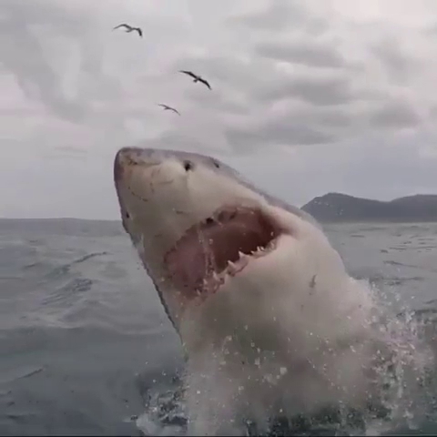 Pôr Do Sol - Restaurante-Bar Sunset - Gastronomia e hotelaria