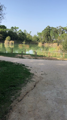 Opinii despre OLB - Sinta-se em Casa în Oliveira do Bairro - Gastronomia e hotelaria