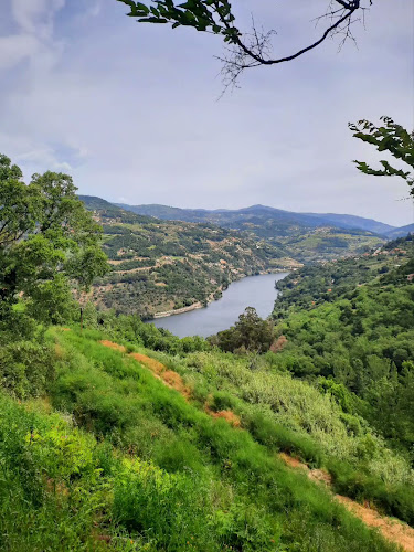 Douro à Vista - Resende