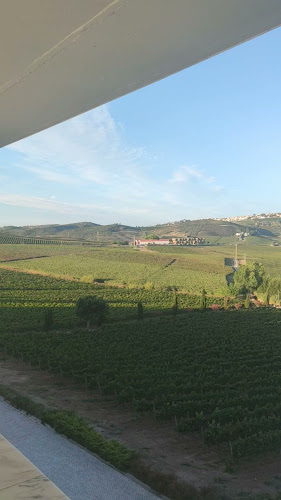 Sal na Adega - AdegaMãe