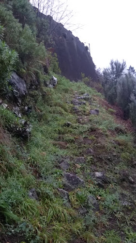 Opinii despre Minimercado Bar Lúcia în Funchal - Gastronomia e hotelaria