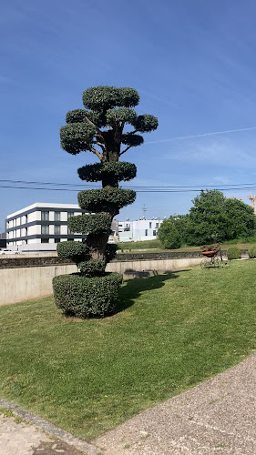 R. do Queimado n°196, 4750-827 Barcelos