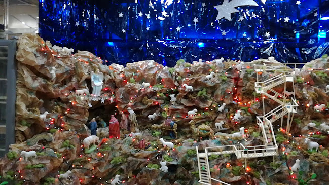 Comentarii opinii despre Bela Vista