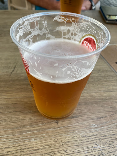 Opinii despre Adega Leonor în Porto - Gastronomia e hotelaria