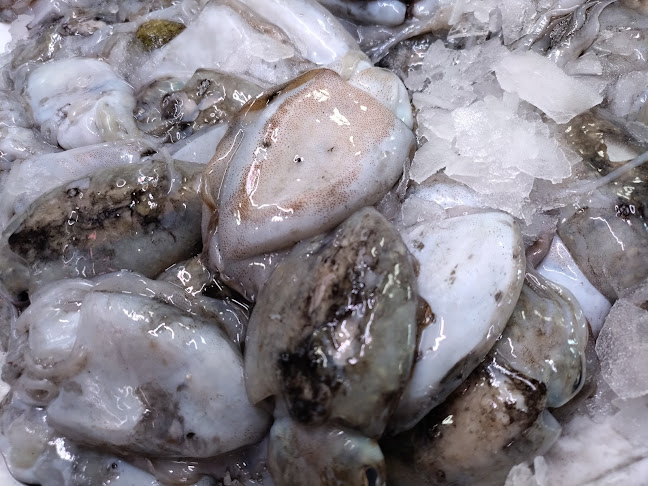 Largo Dr. Francisco Sa Carneiro 21, 8000-151 Faro