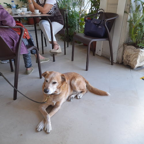 Opinii despre Snack Bar O Fruto în Tavira - Gastronomia e hotelaria