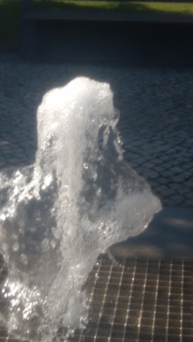 Jaime Dos Santos Rodrigues - Anadia