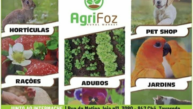 AgriFoz - Figueira da Foz
