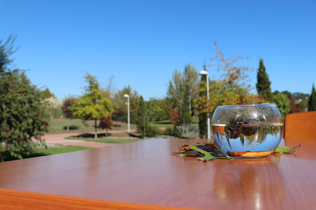 Comentarii opinii despre Restaurante Pedagógico - A Prova dos Novos