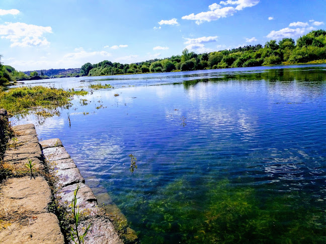 Bar Tejo - Gastronomia e hotelaria