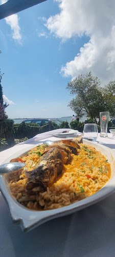 Aqui Há Gato - Caminha