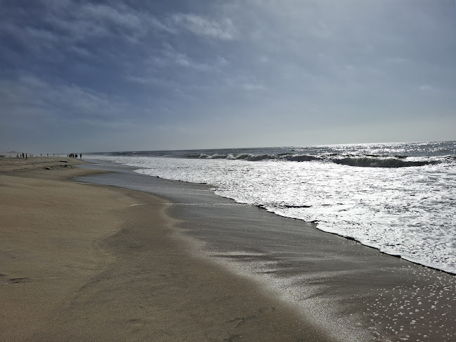 Opinii despre Alcamen în Pombal - Gastronomia e hotelaria