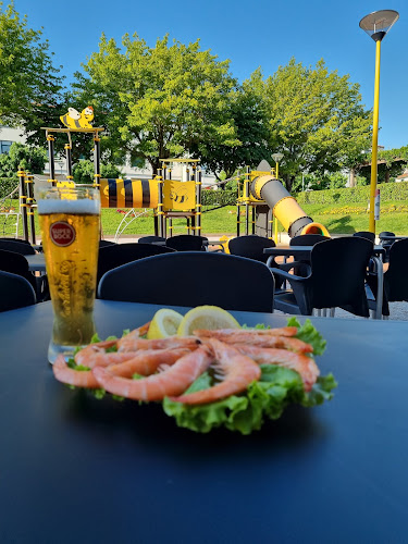 R. Dr. António Gil 37, 5450-017 Vila Pouca de Aguiar