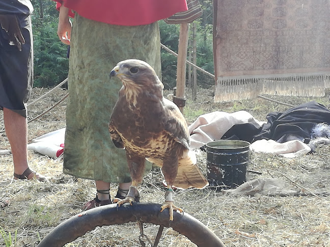 Opinii despre Vira Copos în Estarreja - Gastronomia e hotelaria