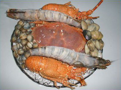 Comentarii opinii despre Restaurante Praia do Tubarão