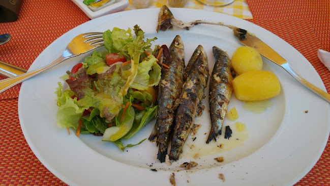 Comentarii opinii despre Don Sebastião