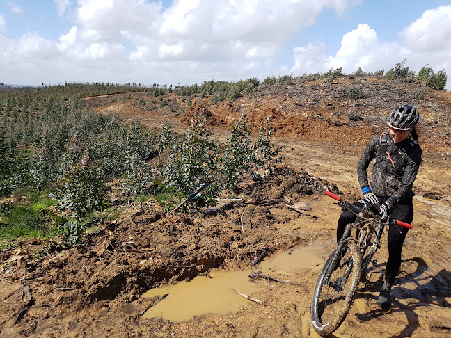 Café Carioca - Belazaima do Chão