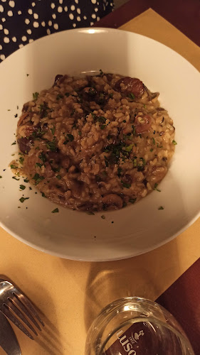 Comentarii opinii despre Grigio