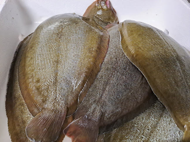 Cantinho Algarvio - Gastronomia e hotelaria