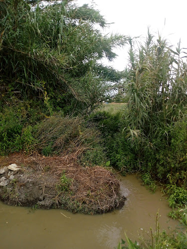 Sarah's Coffee - Caldas da Rainha