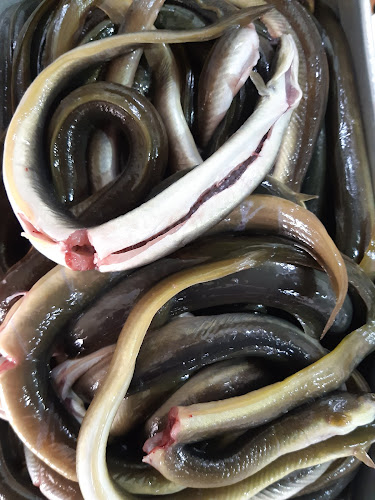 Comentarii opinii despre Barra Nova