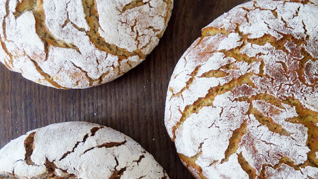 BOROA - Entroncamento