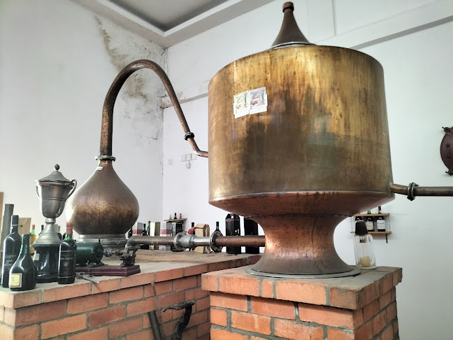 Adega Cooperativa de Valpaços - Caves Valpaços - Gastronomia e hotelaria