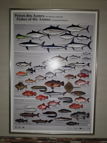 Opinii despre Restaurante Canto da Pia în Vale de Cambra - Gastronomia e hotelaria