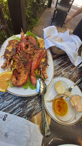Reviews of Restaurante Alcazar in Viana do Castelo - Gastronomia e hotelaria