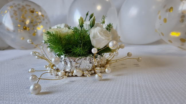 Comentarii opinii despre Casa Eduardo